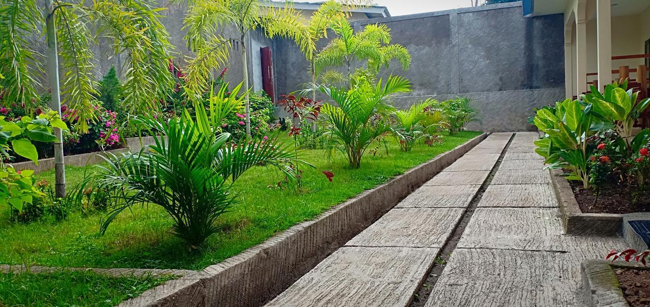 Green Rinjani Guest Houst Hotell Senaru Exteriör bild